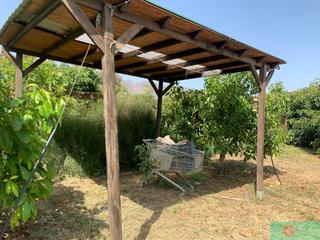 Mas à Vélez de Benaudalla. Vélez de benaudallafinca rustica