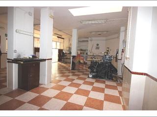 Local Comercial en Centro