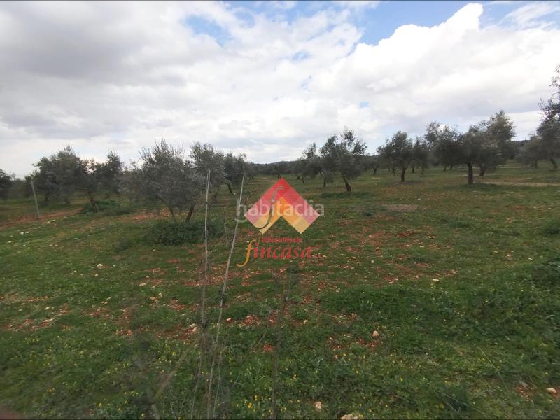 Foto 011ddf42-87f7-4a47-88fa-d160b7c6ea52. Masía rebajado de precio, antes 89.000!! en Casco Histórico Ronda