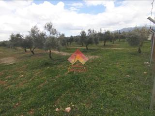 Mas à Casco Histórico. Rebajado de precio, antes 89.000!!