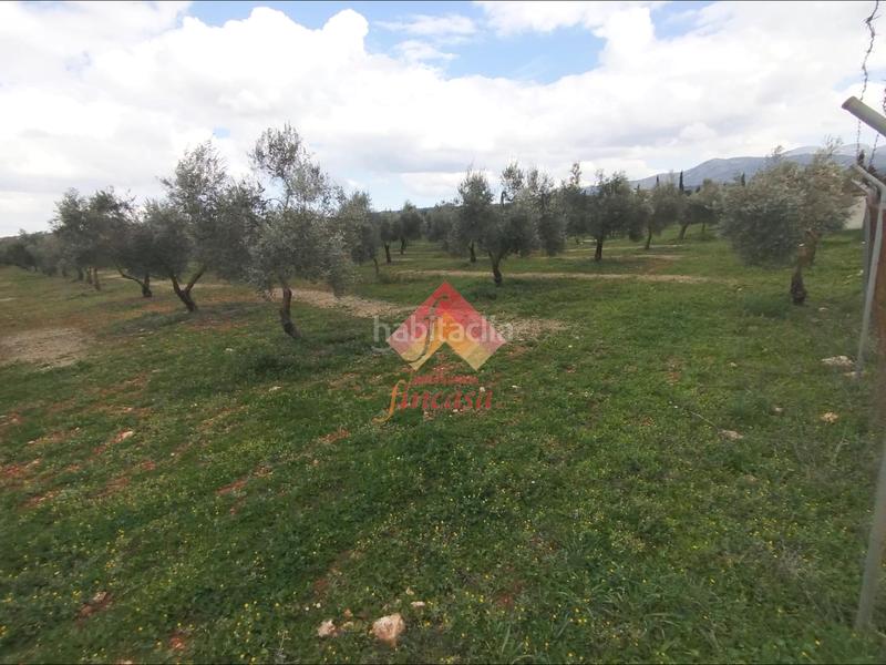 Foto 05c40f37-428e-4afd-9874-e089506d46d4. Masía rebajado de precio, antes 89.000!! en Casco Histórico Ronda