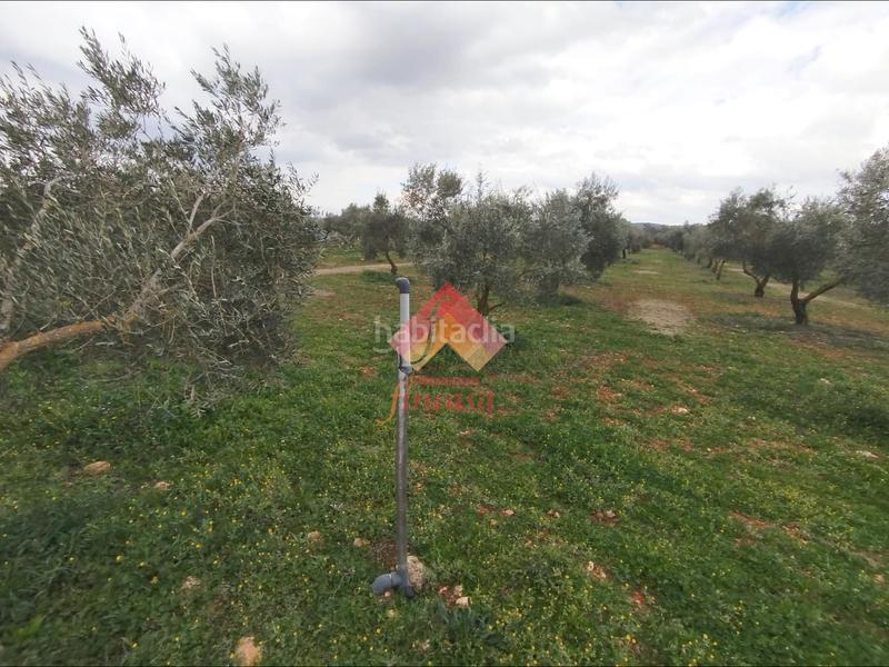 Foto 070a0e38-0471-4d62-afcc-8f45f2346550. Masía rebajado de precio, antes 89.000!! en Casco Histórico Ronda