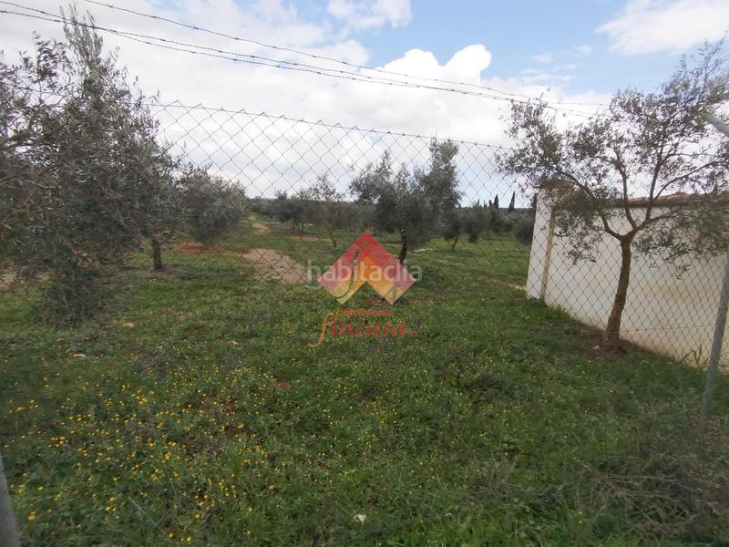 Foto 1255892f-bede-4ebf-b465-e5baa47c92d3. Masía rebajado de precio, antes 89.000!! en Casco Histórico Ronda