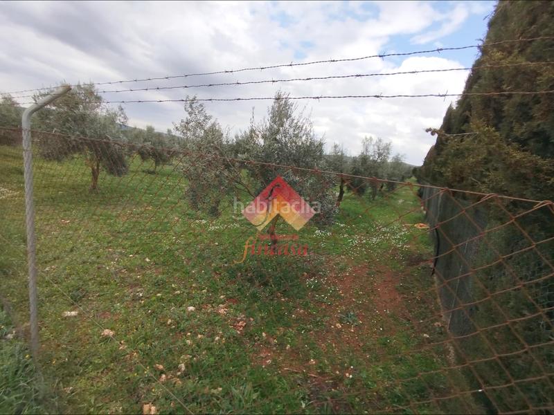 Foto 51196ce8-a4cf-4db8-aab7-d23409b7231a. Masía rebajado de precio, antes 89.000!! en Casco Histórico Ronda