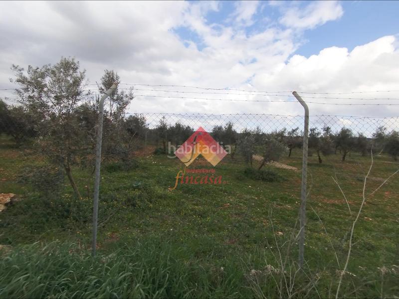 Foto 97903a43-535c-45c3-9435-86e80f738645. Masía rebajado de precio, antes 89.000!! en Casco Histórico Ronda