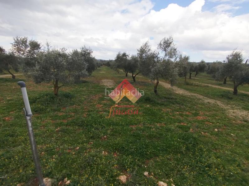 Foto d2ea4c71-7e1e-497b-b47a-68e4fd5e14a6. Masía rebajado de precio, antes 89.000!! en Casco Histórico Ronda