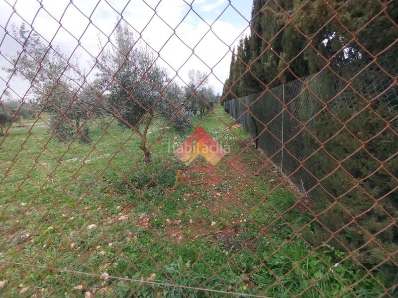 Foto db00e7fb-27a8-458e-89ae-e52ca1d388de. Masía rebajado de precio, antes 89.000!! en Casco Histórico Ronda