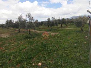 Mas à Casco Histórico. Venta de finca a 7 minutos de ronda
