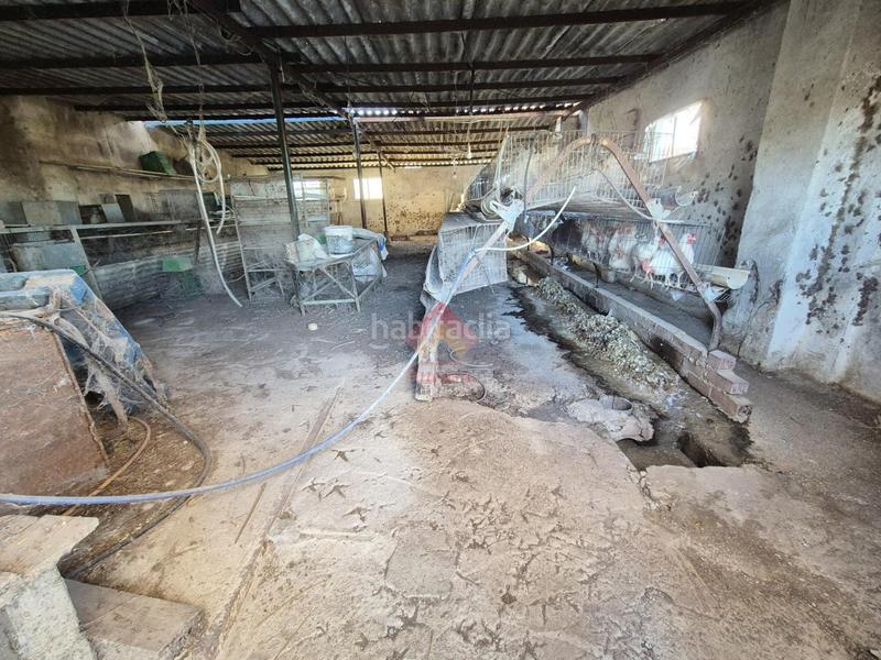 Foto 82618c12-8757-4129-b14c-d67295de21d1. Masía finca con múltiples posibilidades y excelente ubicación!! en Ronda