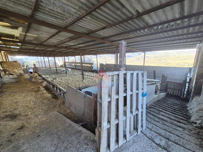 Foto b8184f41-59bb-4d43-a4b7-80a49f03f087. Masía finca con múltiples posibilidades y excelente ubicación!! en Ronda