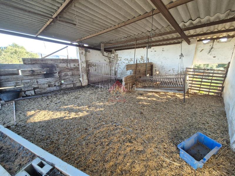 Foto ce26fde7-fe95-4a4c-8c3a-a0b3c85d7849. Masía finca con múltiples posibilidades y excelente ubicación!! en Ronda