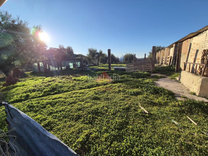 Foto e8ed8be9-420e-47ef-979c-5bc9c2506d29. Masía finca con múltiples posibilidades y excelente ubicación!! en Ronda