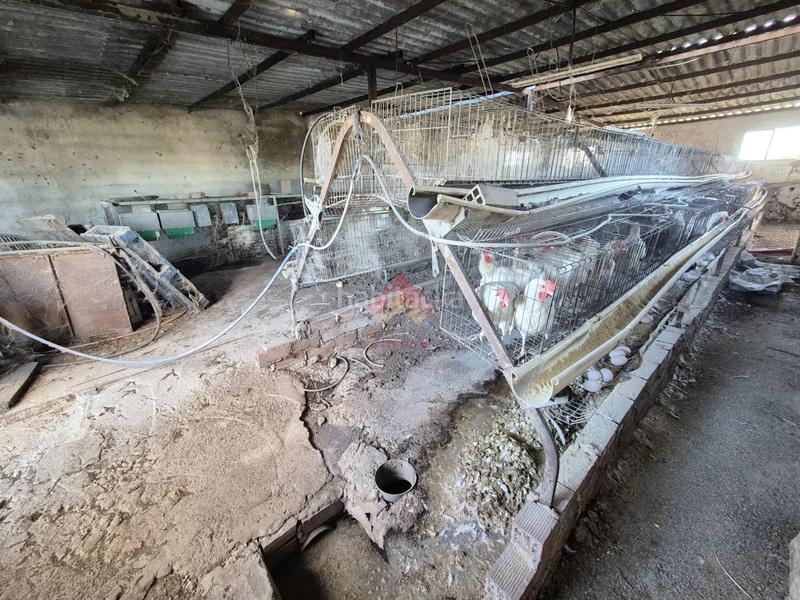 Foto ead55f8b-4df0-4d4b-9b51-e5b8a56299c6. Masía finca con múltiples posibilidades y excelente ubicación!! en Ronda