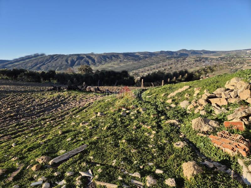 Foto f6319c47-5ac3-47c3-908a-1ddd175b1b8e. Masía finca con múltiples posibilidades y excelente ubicación!! en Ronda