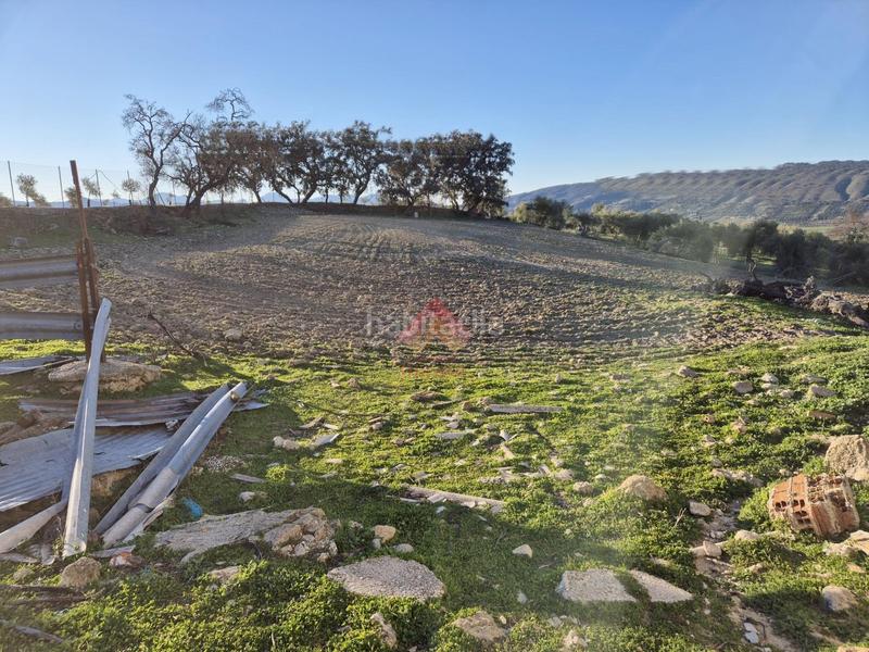 Foto f91c782a-cfe7-41a8-a9aa-6b1be3bd886e. Masía finca con múltiples posibilidades y excelente ubicación!! en Ronda