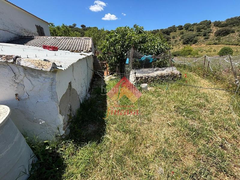 Foto 456841cd-2eb2-49a8-b8a6-362ccee71a1a. Casa a Casco Histórico Ronda