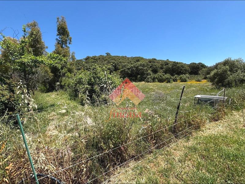 Foto 8d6d328e-9bfd-4019-a297-303f1da727b7. Casa a Casco Histórico Ronda