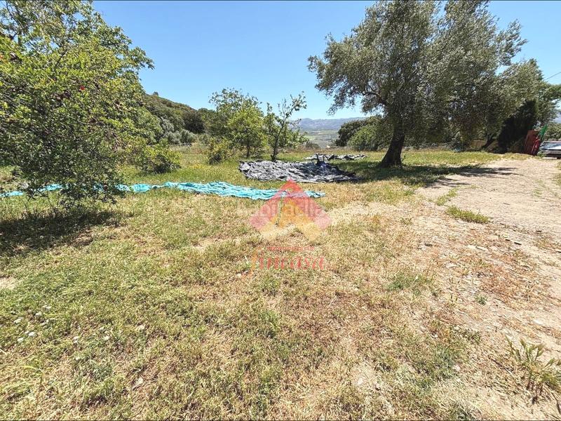 Foto 96593a55-11ad-4fb4-883c-461d81ca60fa. Casa a Casco Histórico Ronda