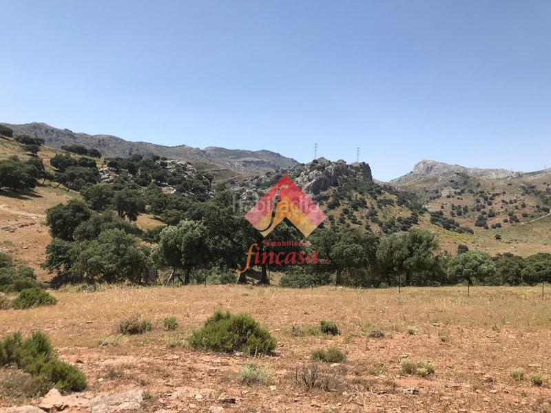 Foto 0dc805b7-34d1-4ece-8e63-1b1547da8dee. Masia a San Rafael Ronda