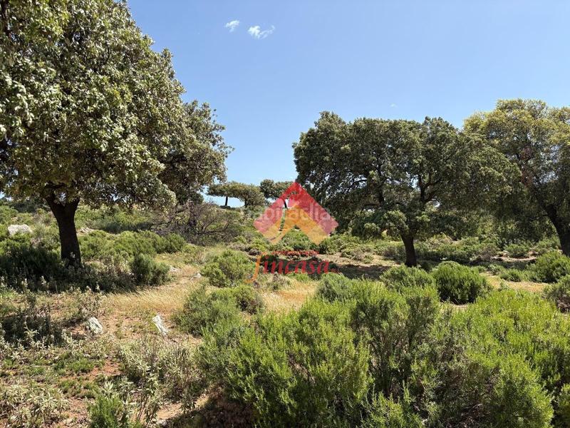 Foto 245999ed-33a1-465a-95b4-ccb5d164d8ed. Masia a San Rafael Ronda