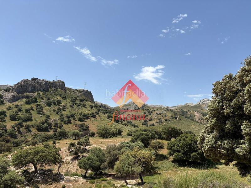 Foto 323bd03d-7f7d-4320-be59-da2e06532e43. Masia a San Rafael Ronda