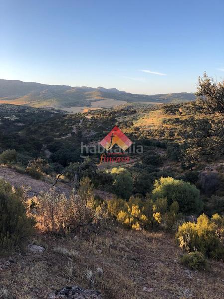 Foto 499ccc12-98e2-47d8-8148-482daf88f1bc. Masia a San Rafael Ronda