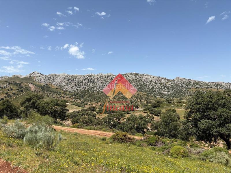 Foto 5bf52bc1-92f8-4f29-8f8b-60158cadcbe3. Masia a San Rafael Ronda