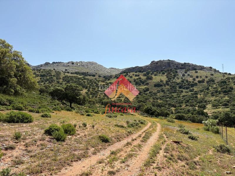 Foto 6bfcc4a6-61be-4baf-b669-1605b025f051. Masia a San Rafael Ronda