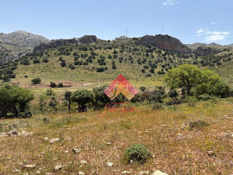 Foto 8e99e486-cb68-44cb-b756-7f474c7b20c2. Masia a San Rafael Ronda