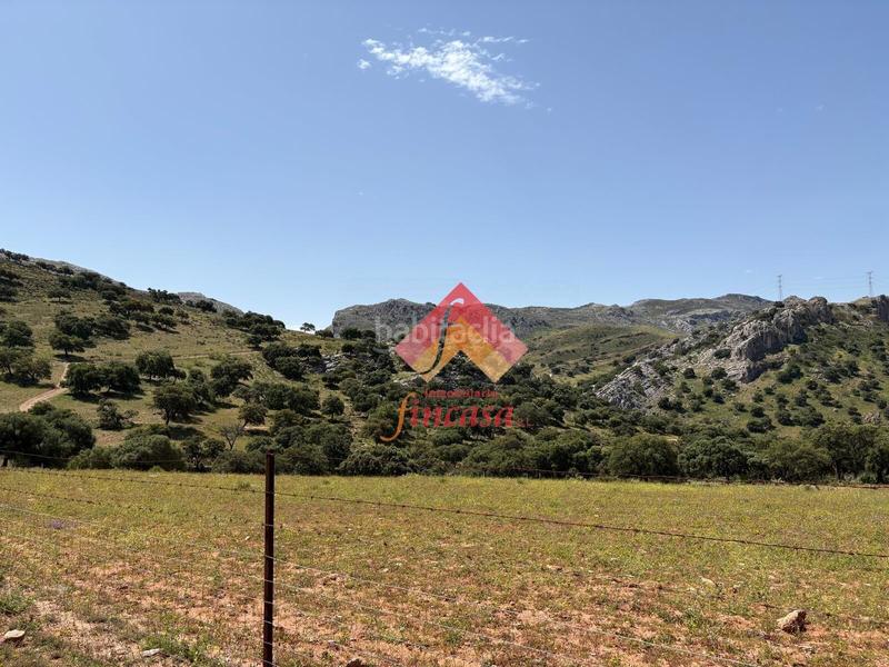 Foto a591ec21-6ca3-4fbd-a309-668873a03154. Masia a San Rafael Ronda