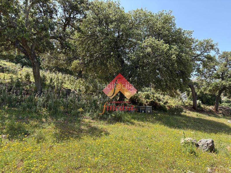 Foto b99769d2-2c60-4a98-a0e8-a11765465d12. Masia a San Rafael Ronda