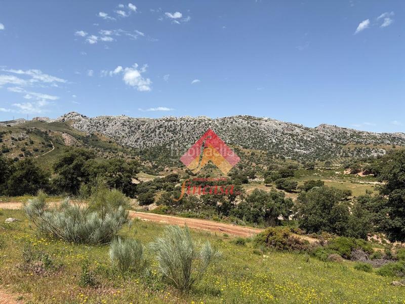 Foto cec3d587-6b8c-4ff4-b30b-86265a00e51c. Masia a San Rafael Ronda