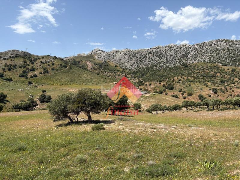 Foto d14eb178-f48e-468b-bc2d-55b4e8cd3c98. Masia a San Rafael Ronda