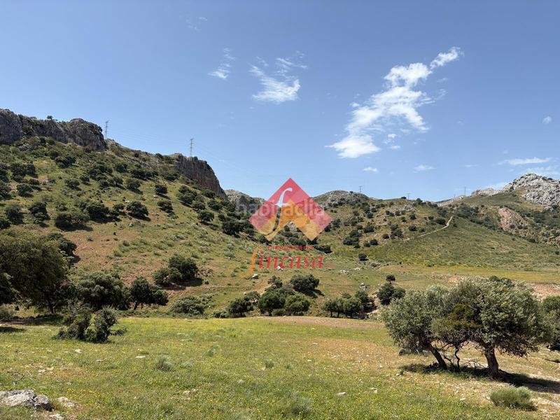 Foto df228b84-d9c2-4d9e-9635-25d4d16dd289. Masia a San Rafael Ronda