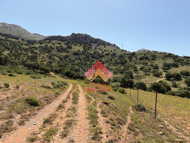 Foto efa34e64-89ba-4bf6-a0f3-727948bc91f8. Masia a San Rafael Ronda