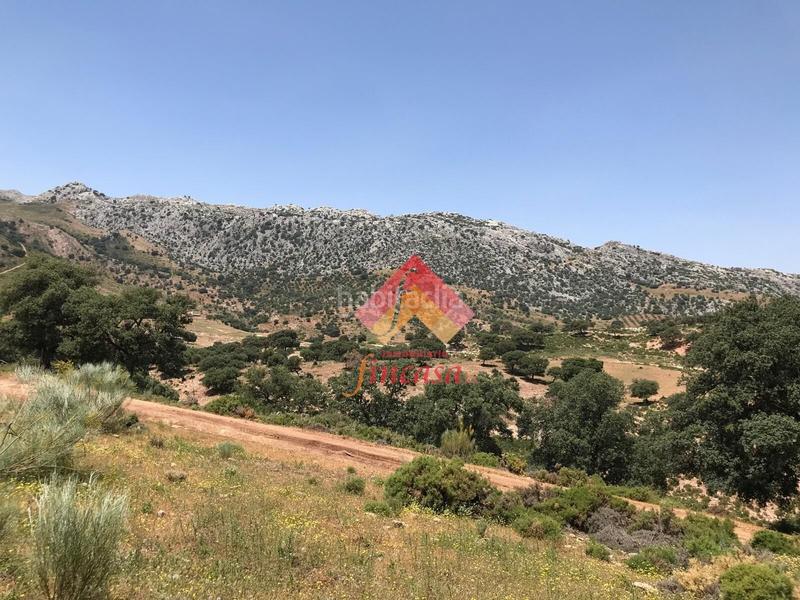 Foto f97946c3-fa42-4a33-b322-c8e8e1d7f3b7. Masia a San Rafael Ronda