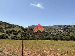 Mas à San Rafael. Se vende finca rústica por la zona de la  carretera del burgo