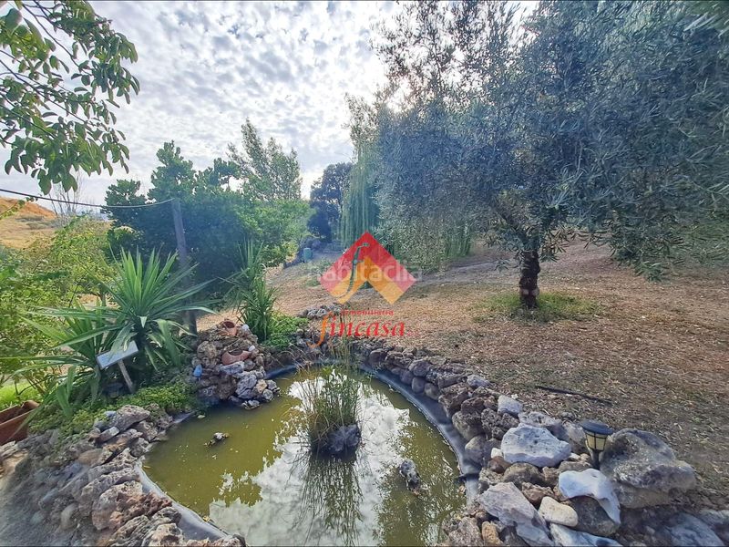 Foto c2ae937d-2df4-4e0d-81b0-8d7ec8c895da. Casa amb aparcament piscina a Casco Histórico Ronda