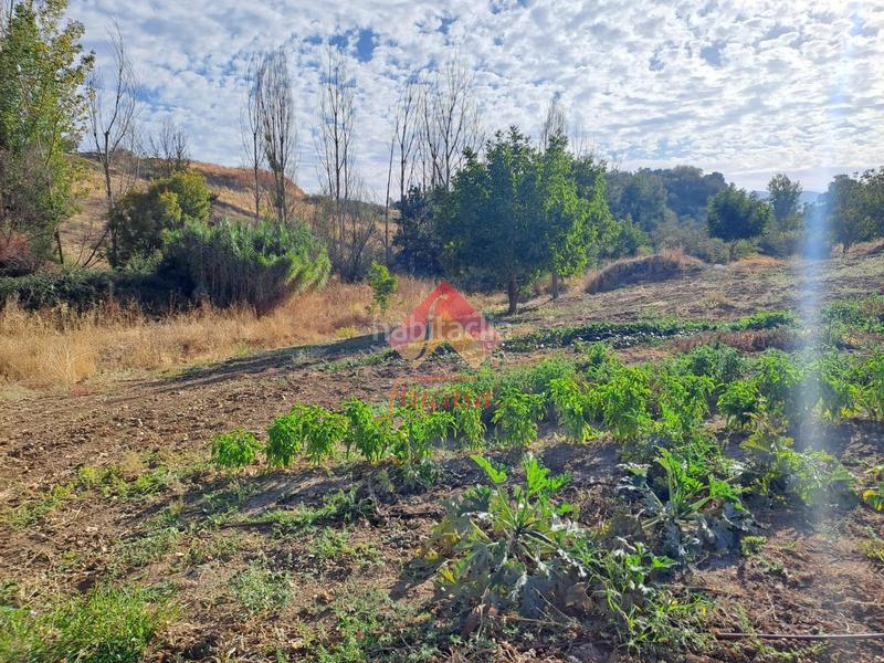 Foto 07293b6a-701f-43d4-9c9e-37fd3f2b8a79. Casa rebajado de precio, antes 498.000!! en Casco Histórico Ronda