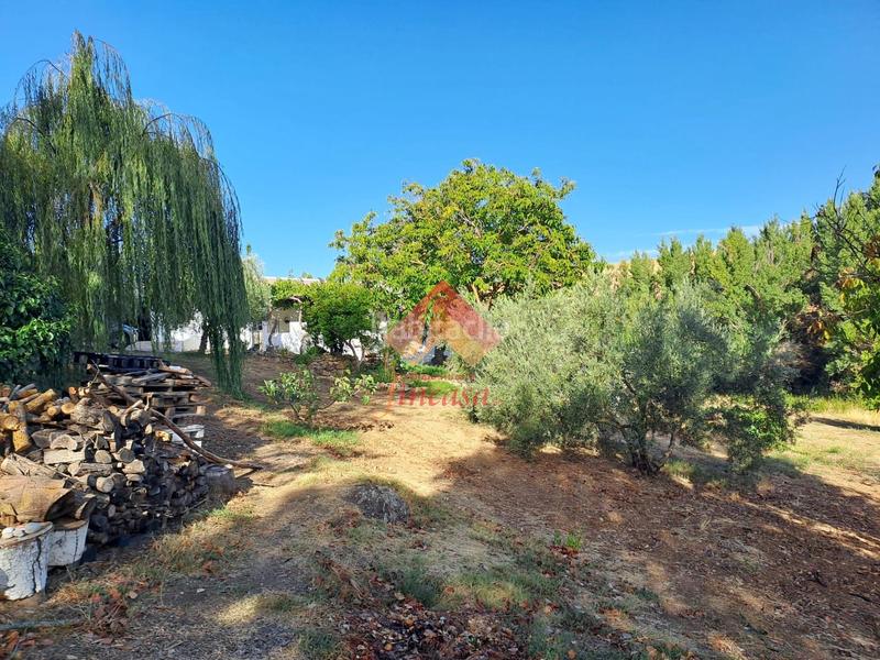 Foto 098da642-802f-408e-ae86-a71abf17e419. Casa rebajado de precio, antes 498.000!! en Casco Histórico Ronda