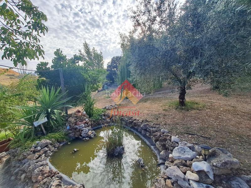 Foto 37379d3d-815d-49fe-83b4-b30bfa691455. Casa rebajado de precio, antes 498.000!! en Casco Histórico Ronda