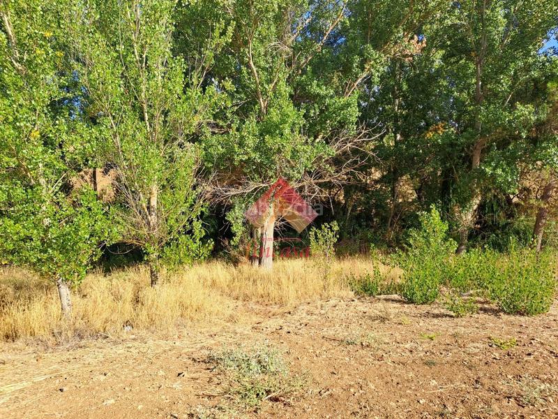 Foto 37951796-1425-4a2a-8168-30e5086bc744. Casa rebajado de precio, antes 498.000!! en Casco Histórico Ronda