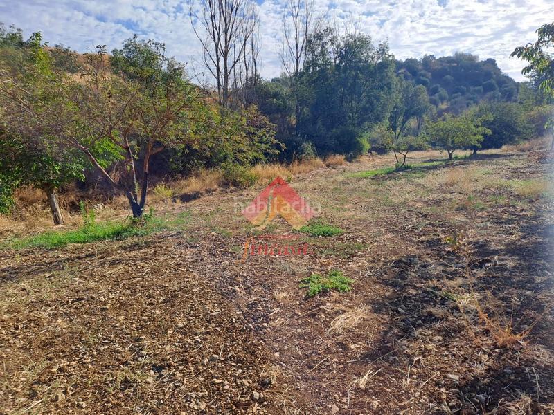 Foto d1f984c4-2b6d-4d86-af5a-71b7ab1d523d. Casa rebajado de precio, antes 498.000!! en Casco Histórico Ronda