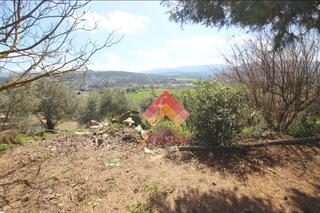 Masia a Casco Histórico. Se vende finca rústica en ronda la vieja