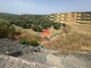 Fondo rustico in Arriate. Olivar cerca de arriate
