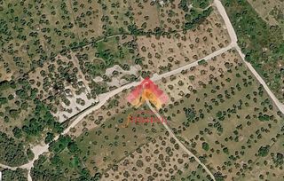 Finca rústica a Partidas Sur. Olivar en venta en partido rosalejo