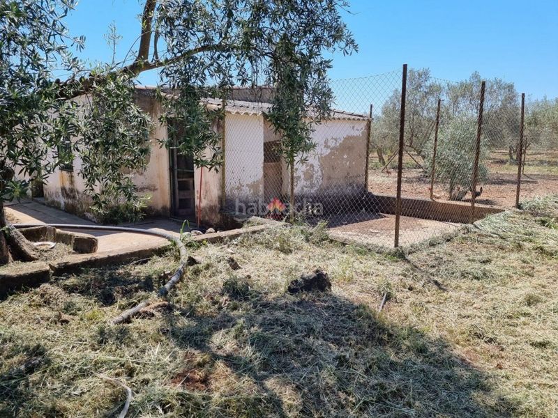 Foto 16d30e26-d47d-4a87-85cc-a17f0989ed06. Terreno residenziale in Casco Histórico Ronda