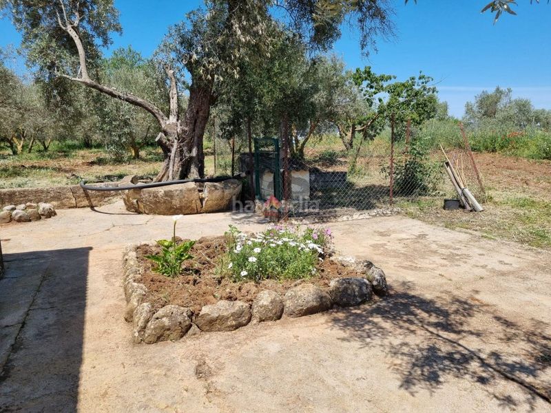 Foto aba46d65-aa6b-4a1b-8eb6-e63aee3f3c9a. Terreno residenziale in Casco Histórico Ronda