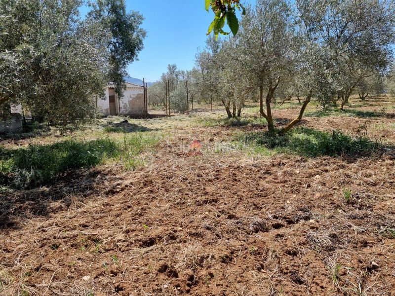 Foto b01baabf-44e2-4dad-8870-144ed639eab8. Terreno residenziale in Casco Histórico Ronda