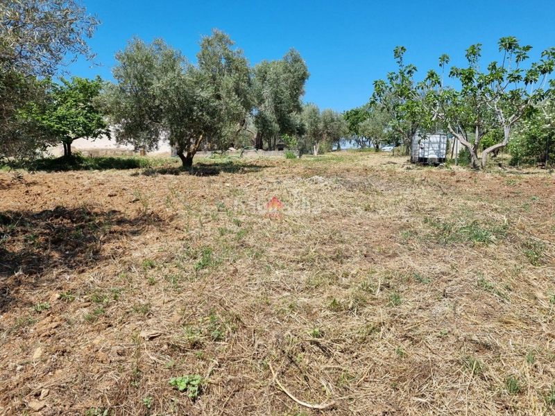 Foto c91b2a17-45d7-473f-92fa-513247f2497a. Terreno residenziale in Casco Histórico Ronda
